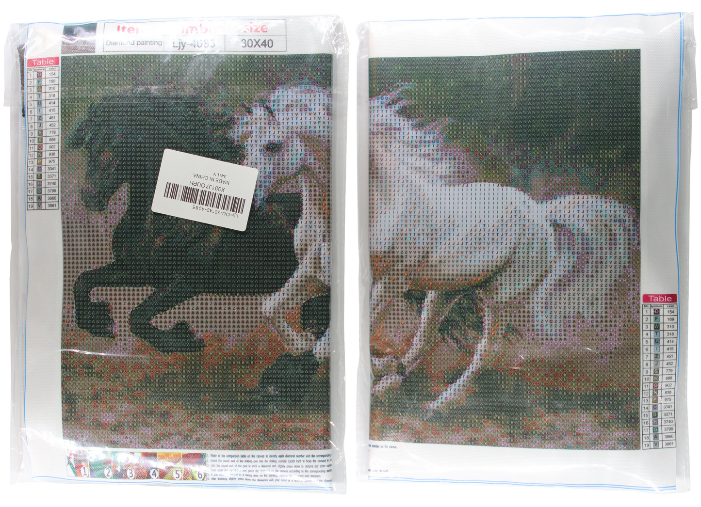 Rappe und Schimmel im Galopp Diamond Painting  19 Farben 40x30cm LIY-4085