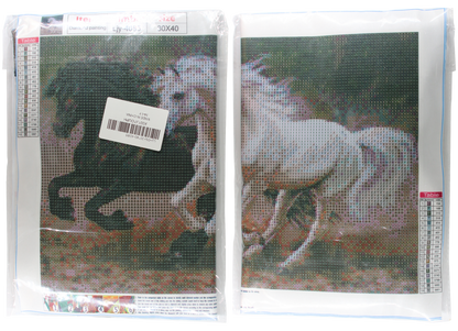 Rappe und Schimmel im Galopp Diamond Painting  19 Farben 40x30cm LIY-4085