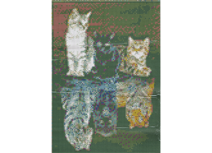 3 Katzen in Pfütze zu 3 Raubtiere Diamond Painting 30 Farben 30x40 cm  WB2618