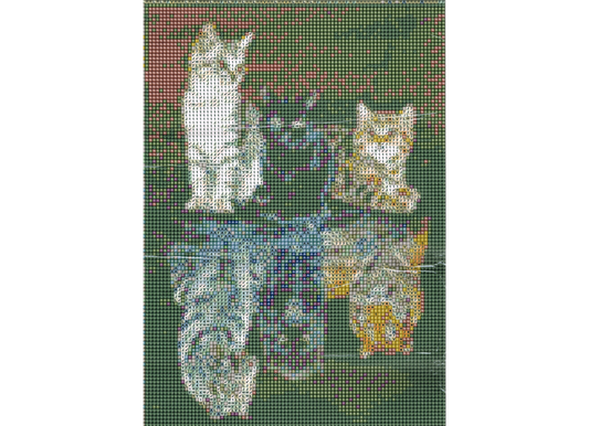 3 Katzen in Pfütze zu 3 Raubtiere Diamond Painting 30 Farben 30x40 cm  WB2618