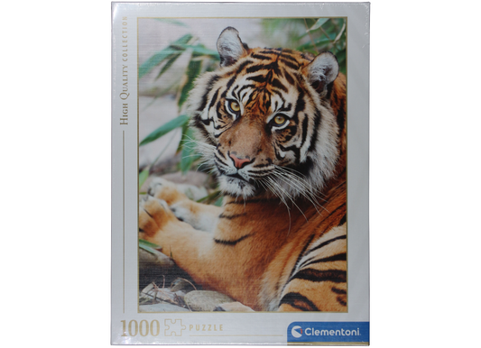 Portrait eines liegenden Sumatra Tigers Clementoni Puzzle 1000 Teile 50 x 69 cm